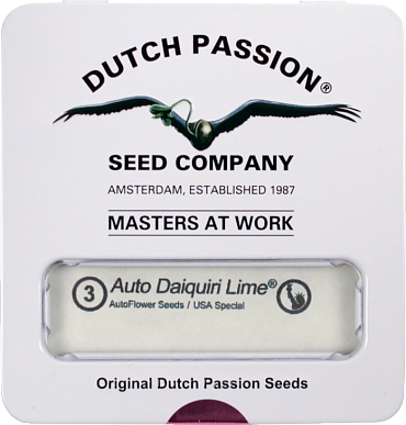 Auto Daiquiri Lime autofem (Dutch Passion) семена конопли — изображение 2
